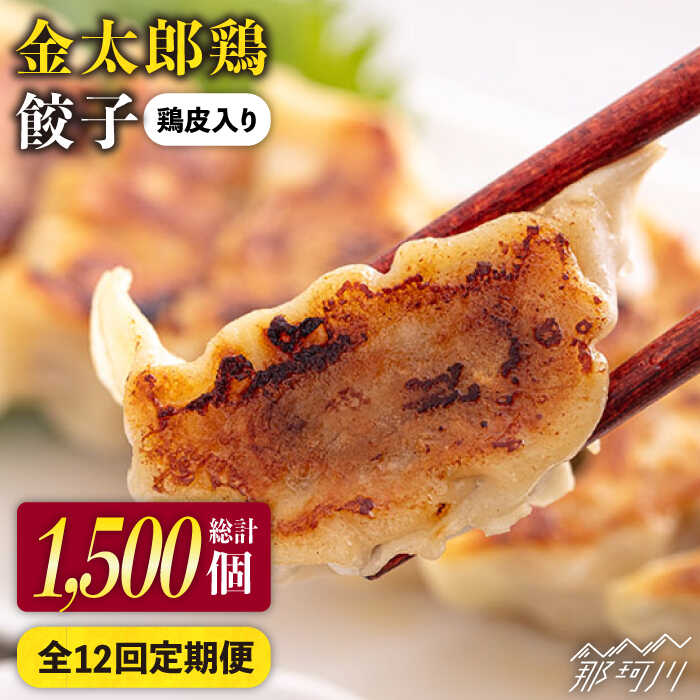【ふるさと納税】【全12回定期便】金太郎鶏 ぎょうざ(25個×5袋セット)<有限会社 フジノ香花園>那珂川市 | 定期便 餃子 中華 お惣菜 鶏 鶏肉 鶏皮 お...