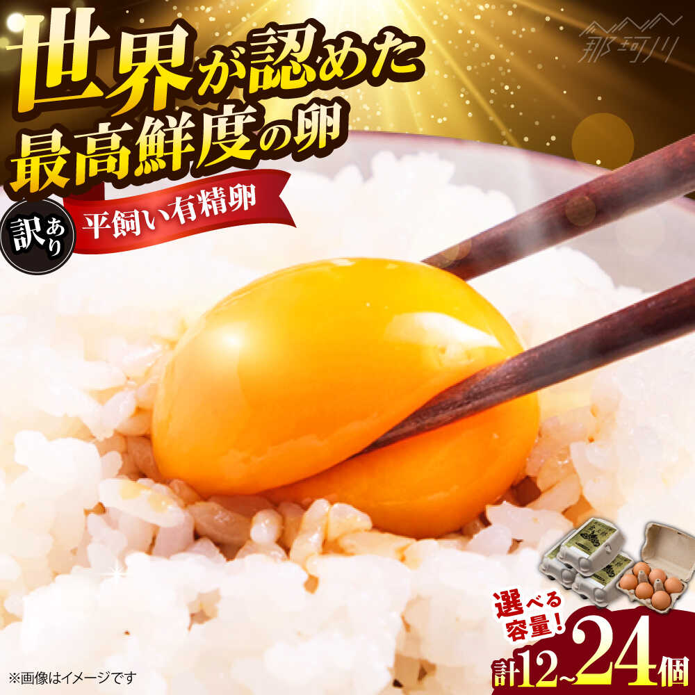 【ふるさと納税】【訳あり】【選べる容量】訳あり 金太郎卵 平飼い たまご 12個（6個×2パック）＜有限..