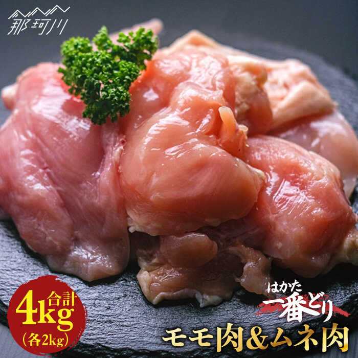 【ふるさと納税】【地鶏のうまみ】はかた一番どり 鶏肉 モモ 