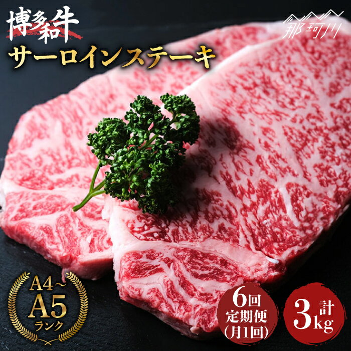 【ふるさと納税】【全6回定期便】大満足！ 博多和牛 牛肉 サーロイン ステーキ 500g（250g×2）＜肉の...