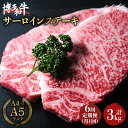 17位! 口コミ数「1件」評価「5」【全6回定期便】大満足！ 博多和牛 牛肉 サーロイン ステーキ 500g（250g×2）＜肉のくまもと屋＞那珂川市 定期便 牛肉 肉 黒毛和･･･ 