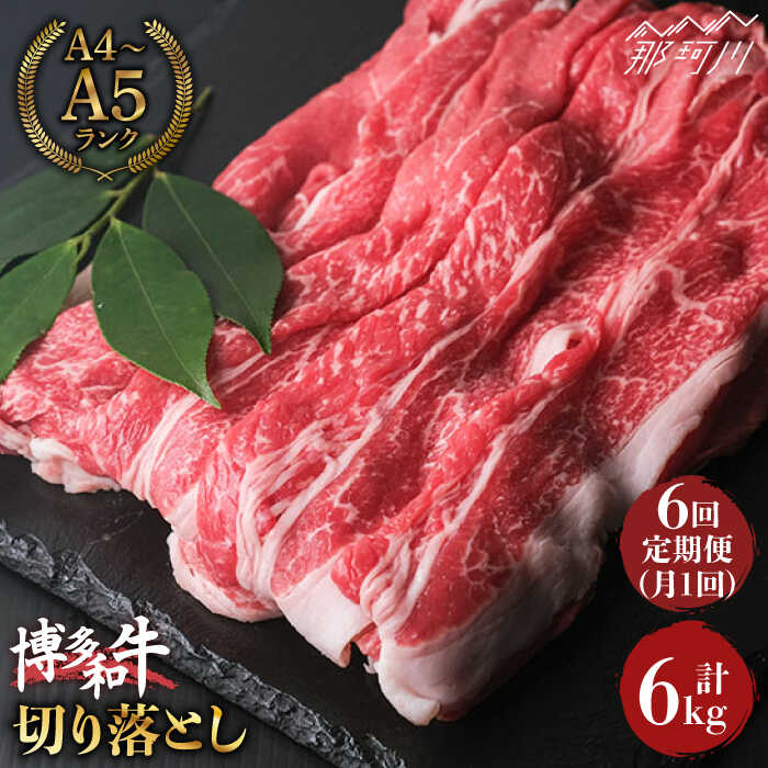 【全6回定期便】大容量！博多和牛 牛肉 切り落とし 1kg（250g×4p）＜肉のくまもと屋＞那珂川市 定期便 牛肉 肉 黒毛和牛 ブランド牛 国産 BBQ バーベキュー [GBI040]