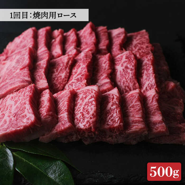 【ふるさと納税】【全3回定期便】博多和牛 牛肉 焼肉 BBQ 定期便＜肉のくまもと屋＞那珂川市 定期便 牛肉 肉 黒毛和牛 ブランド牛 国産 BBQ バーベキュー 和牛 セット もも バラ 定期便 ロース A5ランク[GBI047]