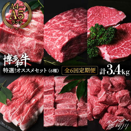 【全6回定期便】特選！博多和牛 牛肉6種 オススメ定期便＜肉のくまもと屋＞那珂川市 定期便 牛肉 肉 黒毛和牛 ブランド牛 国産 BBQ バーベキュー 和牛 ロース もも ステーキ ヒレ 切り落とし バラ 焼肉 定期便 [GBI048]