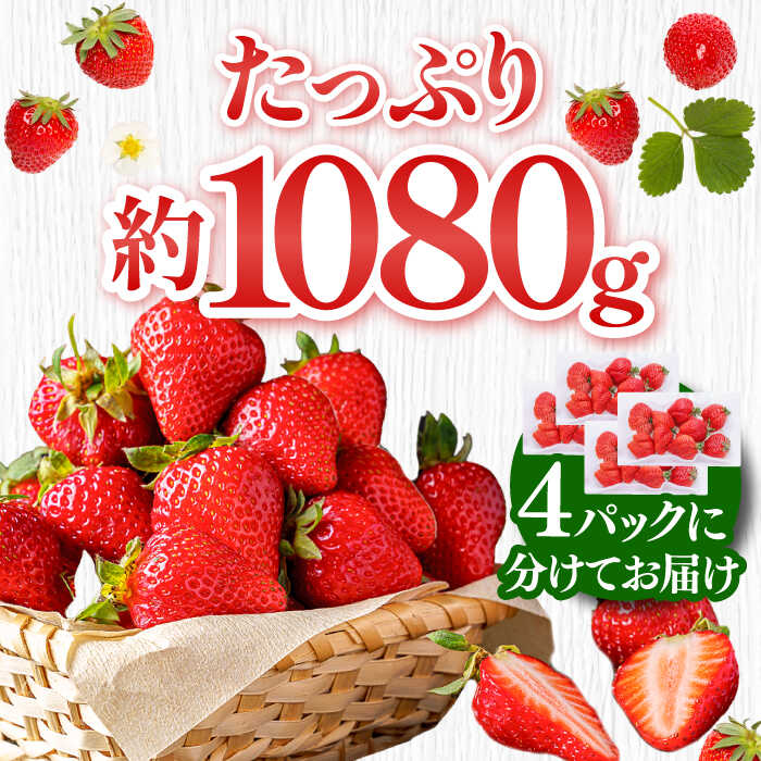 【ふるさと納税】【2月以降順次発送】いちご あまおう 約270g×4パック 那珂川市 いちご フルーツ くだもの 果物 あまおう 九州産 苺 国産[GBR001]