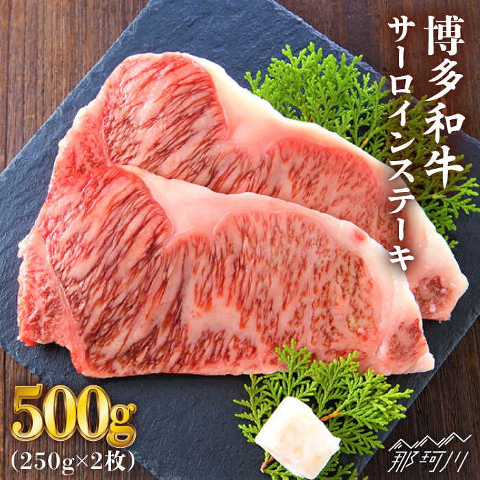 [溢れる肉汁と濃厚な旨味]博多和牛 牛肉 サーロイン ステーキ 500g(250g×2枚)[株式会社MEAT PLUS]那珂川市 