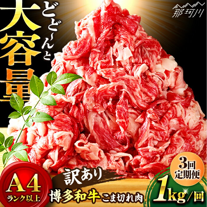 [全3回定期便]博多和牛 牛肉 切り落とし 大容量 1000g(500g×2P)[株式会社MEAT PLUS]那珂川市 定期便 牛肉 肉 黒毛和牛 ブランド牛 国産 BBQ バーベキュー 