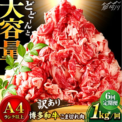 【全6回定期便】博多和牛 牛肉 切り落とし 大容量 1000g（500g×2P）＜株式会社MEAT PLUS＞那珂川市 定期便 牛肉 肉 黒毛和牛 ブランド牛 国産 BBQ バーベキュー [GBW014]