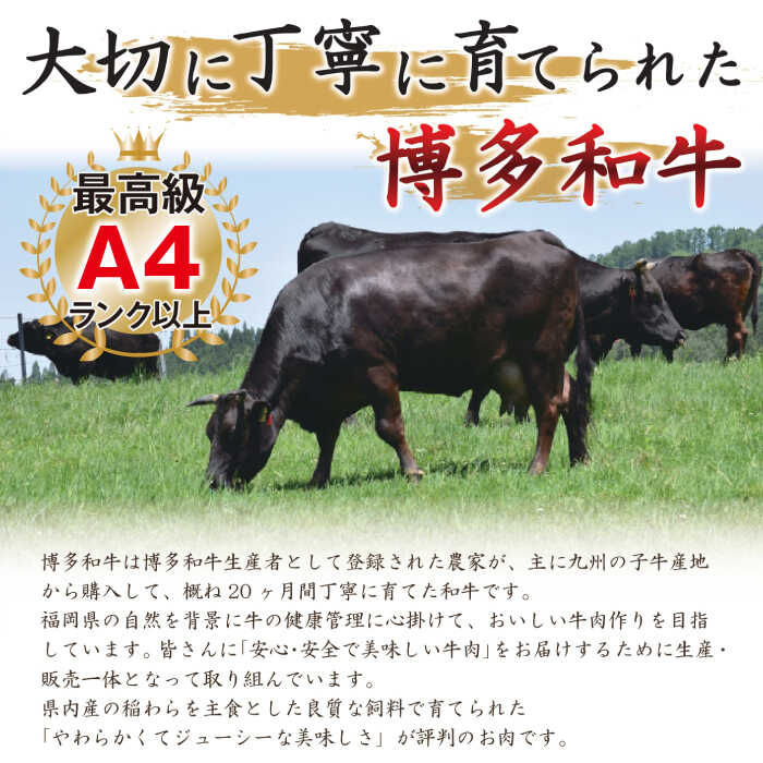 【ふるさと納税】【全12回定期便】博多和牛 牛肉 切り落とし 大容量 1000g（500g×2P）＜株式会社MEAT PLUS＞那珂川市 定期便 牛肉 肉 黒毛和牛 ブランド牛 国産 BBQ バーベキュー [GBW015]