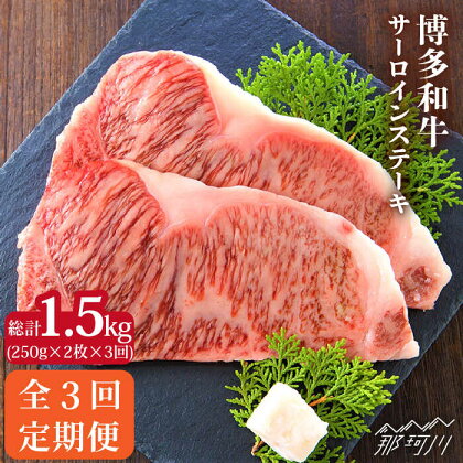 【全3回定期便】博多和牛 牛肉 サーロイン ステーキ 500g（250g×2枚）＜株式会社MEAT PLUS＞那珂川市 定期便 牛肉 肉 黒毛和牛 ブランド牛 国産 BBQ バーベキュー [GBW016]