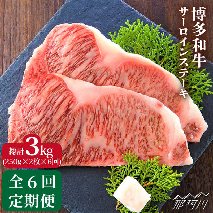 6位! 口コミ数「1件」評価「1」【全6回定期便】博多和牛 牛肉 サーロイン ステーキ 500g（250g×2枚）＜株式会社MEAT PLUS＞那珂川市 定期便 牛肉 肉 黒･･･ 