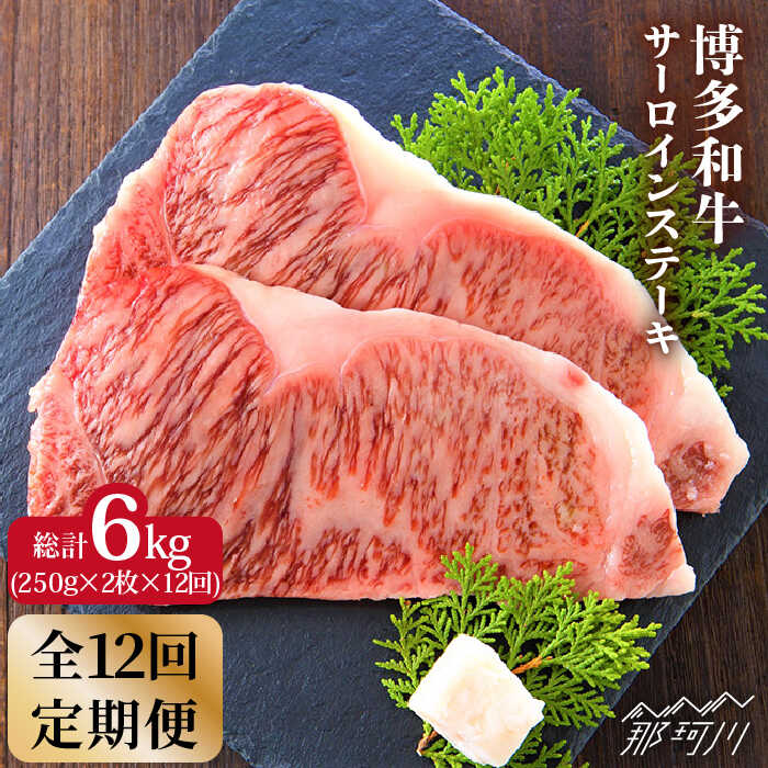 【全12回定期便】博多和牛 牛肉 サーロイン ステーキ 500g（250g×2枚）＜株式会社MEAT PLUS＞那珂川市 定期便 牛肉 肉 黒毛和牛 ブランド牛 国産 BBQ バーベキュー [GBW018]