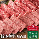 【ふるさと納税】【全6回定期便】博多和牛 牛肉 焼肉 500g＜株式会社MEAT PLUS＞那珂川市 定期便 牛肉 肉 黒毛和牛 ブランド牛 国産 BBQ バーベキュー [GBW020]