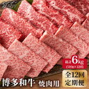 【ふるさと納税】【全12回定期便】博多和牛 牛肉 焼肉 500g＜株式会社MEAT PLUS＞那珂川市 定期便 牛肉 肉 黒毛和牛 ブランド牛 国産 BBQ バーベキュー [GBW021]