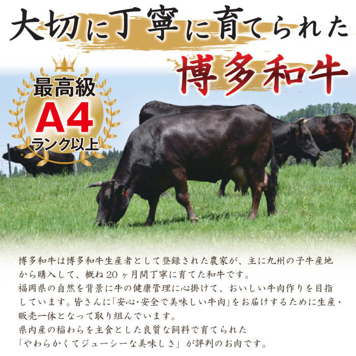 【ふるさと納税】【全6回定期便】博多和牛 牛肉 切り落とし 500g＜株式会社MEAT PLUS＞那珂川市 定期便 牛肉 肉 黒毛和牛 ブランド牛 国産 BBQ バーベキュー [GBW029]