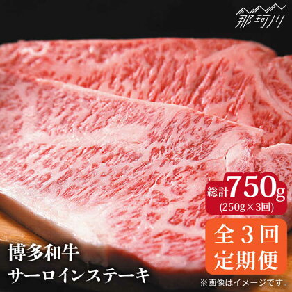 【全3回定期便】博多和牛 牛肉 サーロイン ステーキ 250g×1枚＜株式会社MEAT PLUS＞那珂川市 定期便 牛肉 肉 黒毛和牛 ブランド牛 国産 BBQ バーベキュー [GBW031]