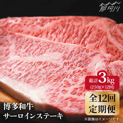 【全12回定期便】博多和牛 牛肉 サーロイン ステーキ 250g×1枚＜株式会社MEAT PLUS＞那珂川市 定期便 牛肉 肉 黒毛和牛 ブランド牛 国産 BBQ バーベキュー [GBW033]