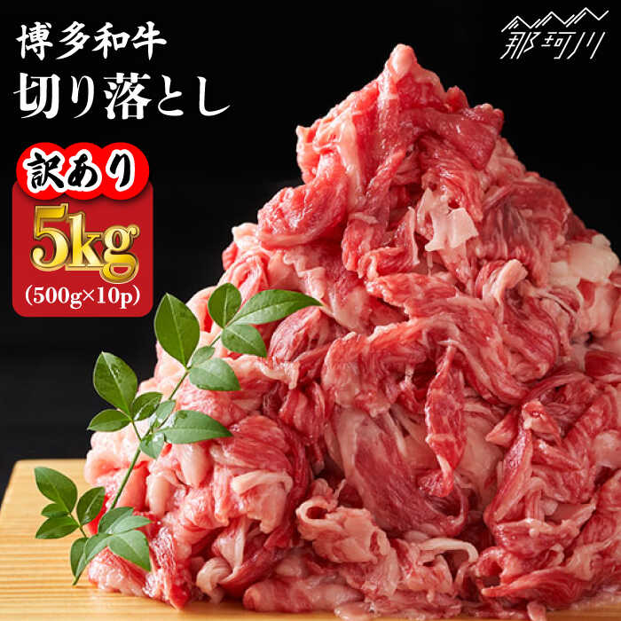 【訳あり】博多和牛 切り落とし 5kg（500g×10p）＜株式会社MEAT PLUS＞那珂川市 牛肉 肉 黒毛和牛 ブランド牛 国産 BBQ バーベキュー [GBW054]