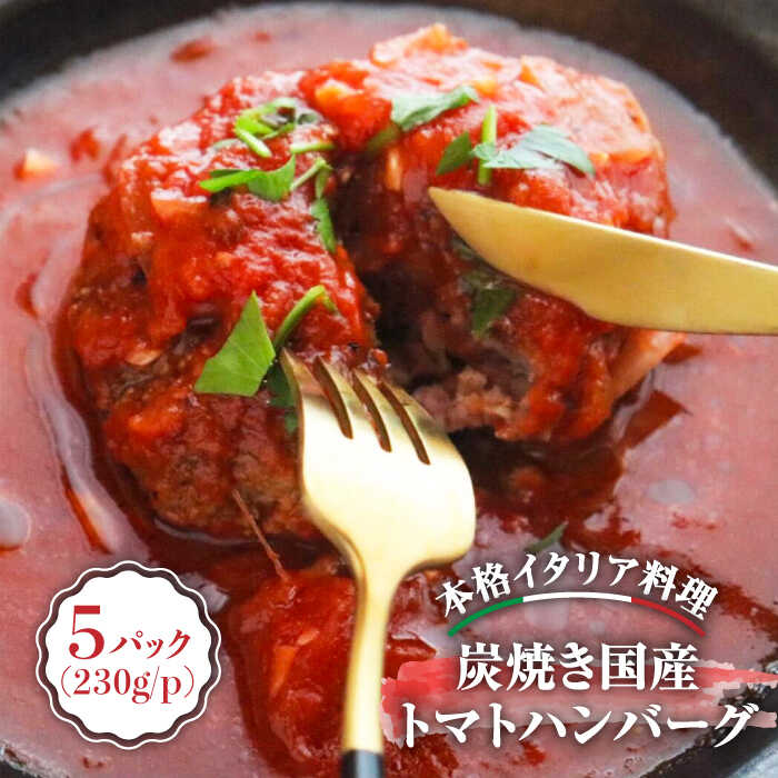 19位! 口コミ数「0件」評価「0」炭焼き 国産 ハンバーグ (トマトソース) 230g×5個＜PUNTO MARE＞那珂川市 ハンバーグ お惣菜 洋食 国産 炭焼き イタリア･･･ 