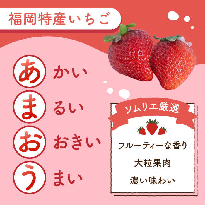 【ふるさと納税】福岡産 冷凍 あまおう 1kg 500g×2袋＜南国フルーツ株式会社＞ 那珂川市 いちご フルーツ くだもの 果物 あまおう 九州産 苺 国産 冷凍いちご[GCD005]13000 13000円
