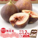 【ふるさと納税】【25年8月上旬より発送】先行予約 福岡産 ブランド無花果・とよみつひめ(約300g×4パック)<南国フルーツ株式会社>那珂川市 | 父の日 母...