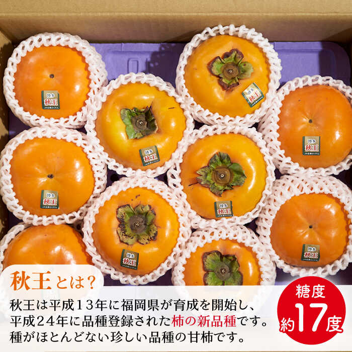 【ふるさと納税】【10月中旬より発送】先行予約 福岡産 ブランド柿 秋王 約1.5kg（4-6玉）＜南国フルーツ株式会社＞那珂川市 | 父の日 [GCD021] 20000 20000円 2万円 以下