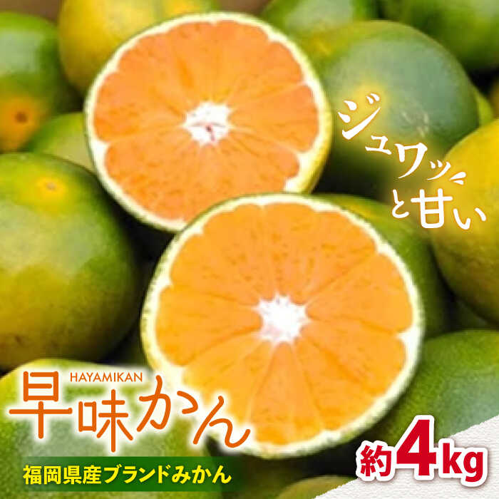 【ふるさと納税】【9月中旬より発送】先行予約 福岡産ブランドみかん 早味かん 約4kg＜南国フルーツ株式会社＞那珂川市 | 父の日 みかん 蜜柑 ミカン オレンジ 国産 福岡 フルーツ 果物 新鮮 [GCD024] 20000 20000円 2万円 以上