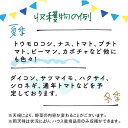 【ふるさと納税】【土日祝日限定】見て楽しい！食べて美味しい！季節野菜の収穫体験 3名様1組＜株式会社坂口MARCHA＞那珂川市 [GCV001] 2