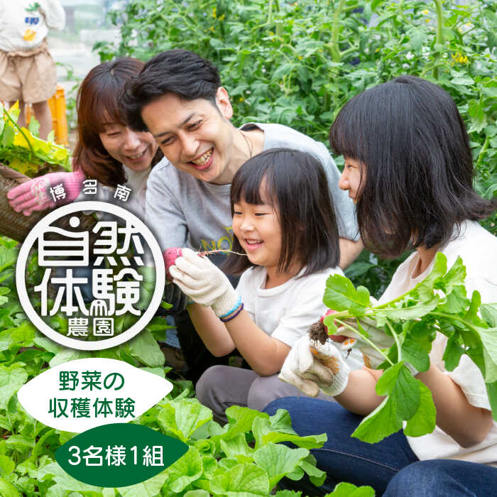 [土日祝日限定]見て楽しい!食べて美味しい!季節野菜の収穫体験 3名様1組[株式会社坂口MARCHA]那珂川市 