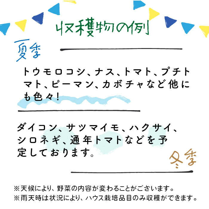 【ふるさと納税】【土日祝日限定】見て楽しい！食べて美味しい！季節野菜の収穫体験 4名様1組＜株式会社坂口MARCHA＞那珂川市 [GCV002]