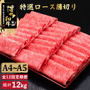 【ふるさと納税】【全12回定期便】A4~A5等級 博多和牛 特選ロース 薄切り 1kg＜久田精肉店＞那珂川市 定期便 牛肉 肉 黒毛和牛 ブランド牛 国産 BBQ バーベキュー [GDE055]