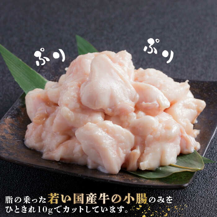 【ふるさと納税】【年間100万食販売！】博多もつ鍋 おおやま もつ鍋 みそ味 3人前＜株式会社ラブ＞那珂川市 もつ鍋 モツ鍋 もつなべ もつ鍋セット もつ 鍋 国産 牛 モツ ちゃんぽん 麺 [GDQ005]