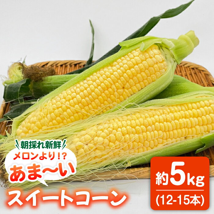 【ふるさと納税】【5月末より発送】朝採れ スイートコーン 約5kg（12-15本入り）とうもろこし ＜ちくし農園＞那珂川市 野菜 ベジタリアン もろこし コーン [GDU001]