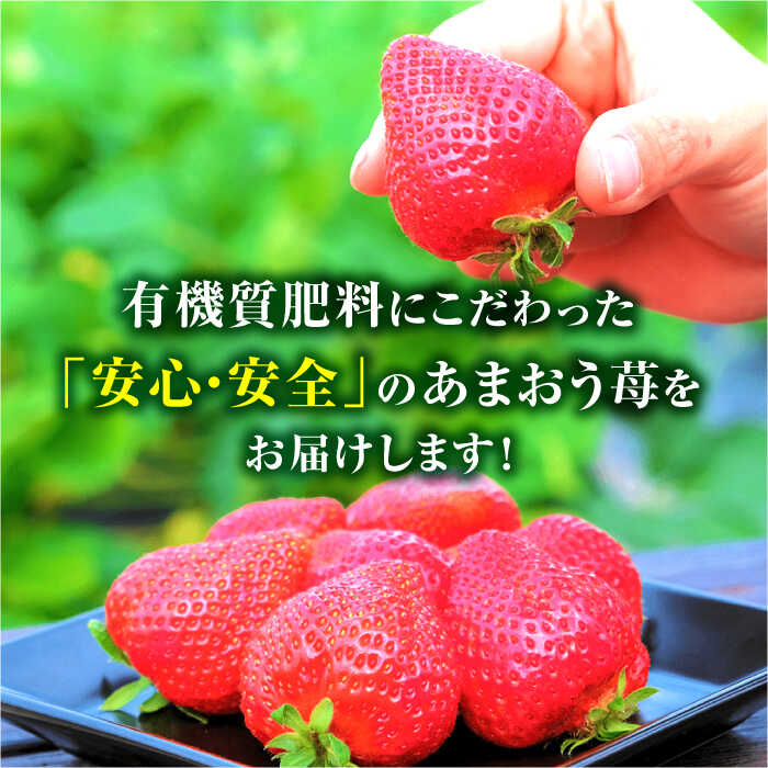 【ふるさと納税】【12月以降発送！】贈答用 あまおう 約800g＜株式会社うるう農園＞那珂川市 いちご フルーツ くだもの 果物 あまおう 九州産 苺 国産 贈答用[GDX002]