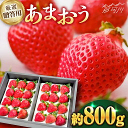 【ふるさと納税】【12月以降発送！】贈答用 あまおう 約800g＜株式会社うるう農園＞那珂川市 いちご フルーツ くだもの 果物 あまおう 九州産 苺 国産 贈答用[GDX002]