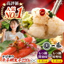 【ふるさと納税】【選べる味】【もつ鍋一藤×かば田】国産 黒毛和牛 肉 の もつ鍋 (4〜6人前) と かば田 の 辛子明太子 コラボ セット <もつ鍋一藤>那珂...