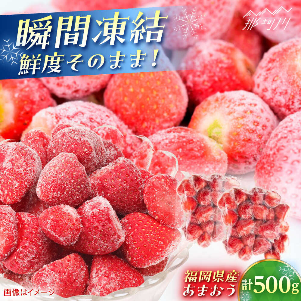 福岡県産 冷凍あまおう500g(250g×2個) [木村食品] 那珂川市[GFR034] 8000 8000円 8千円