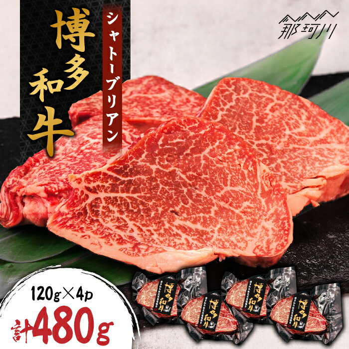 博多和牛 シャトーブリアン 約480g(120g×4枚)[株式会社くしだ企画]那珂川市 牛肉 肉 黒毛和牛 ブランド牛 国産 BBQ バーベキュー 