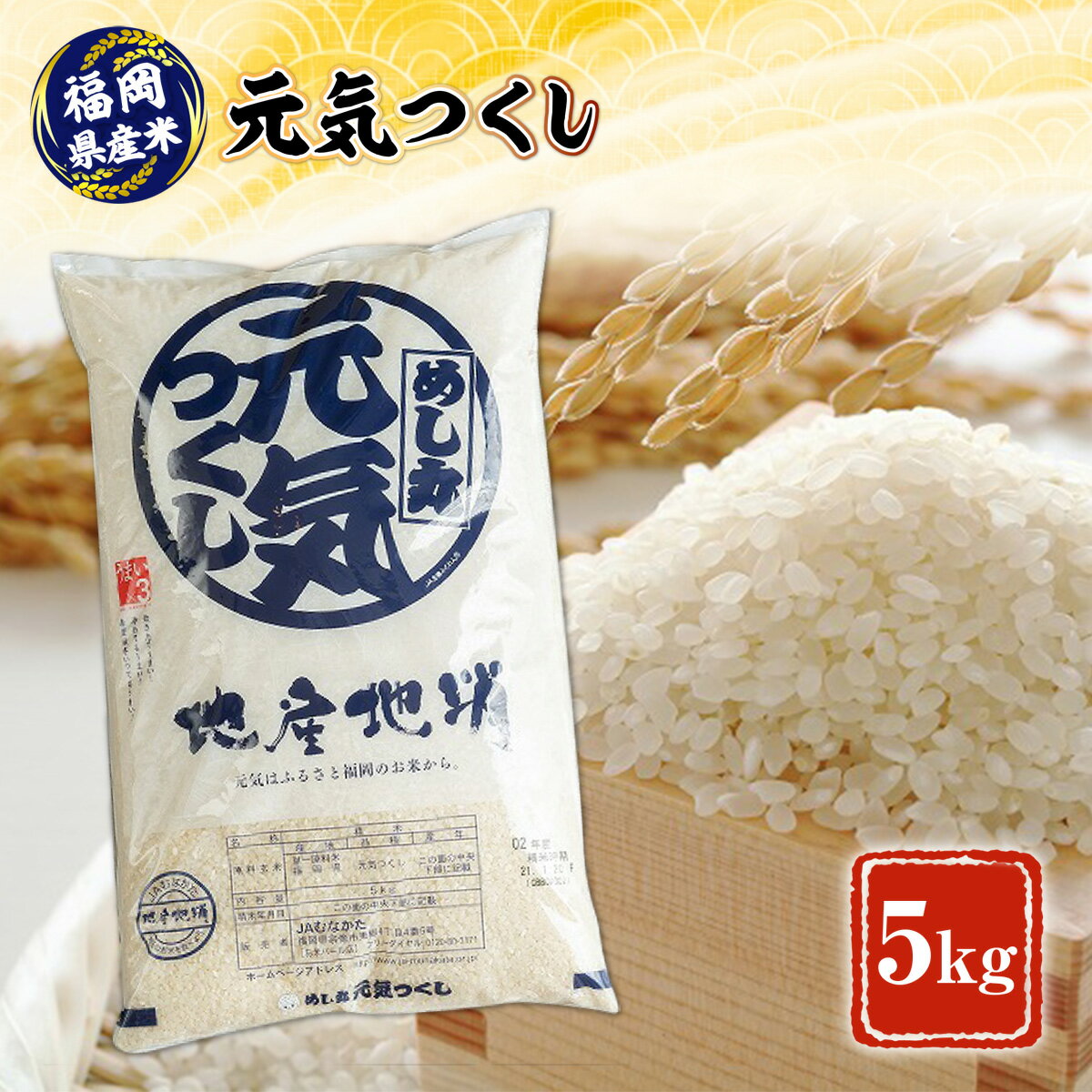 福岡産米・元気つくし5kg 送料無料 お米 福岡