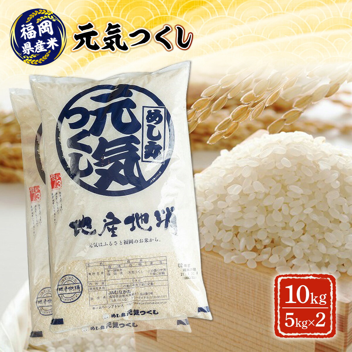 米 福岡産米 元気つくし 5kg 2p セット [南国フルーツ 福岡県 宇美町 um40azo970023] ブランド米 お米 コメ 白米 おこめ こめ 小分け 個包装