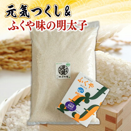 元気つくし＆ふくや味の明太子100g 送料無料 お米 明太子 福岡 AX037