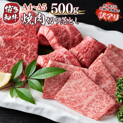 訳あり！A4～A5 博多和牛焼肉切り落とし(肩ロース・バラ）500g 送料無料 牛肉 博多和牛 国産 焼き肉 DX039