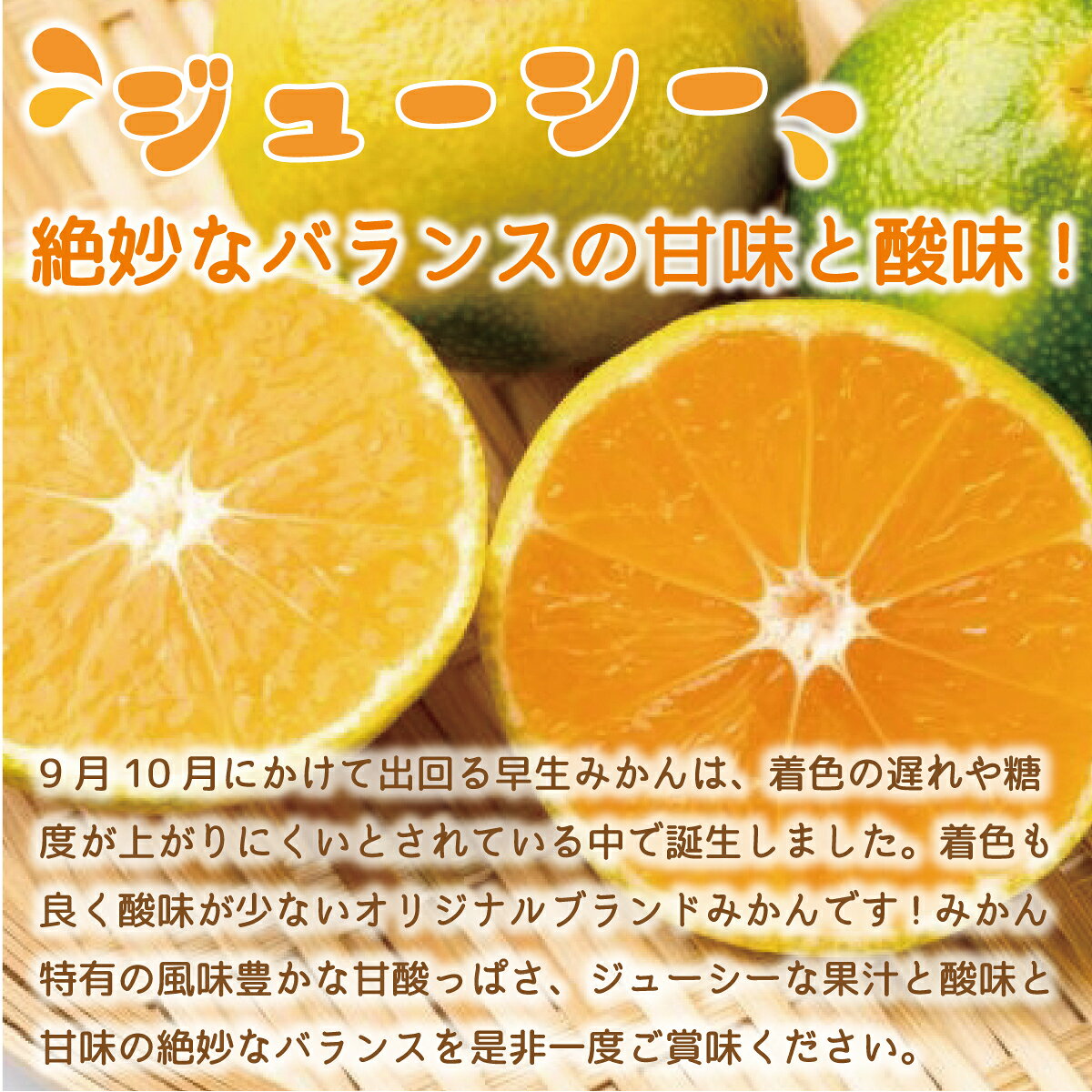 【ふるさと納税】 みかん 早味かん 約 4kg 【期間限定発送】 [南国フルーツ 福岡県 宇美町 um40azo970031] 先行予約 福岡県産 ミカン 早生みかん 早生ミカン フルーツ 果物 くだもの 果実 甘い あまい f403415-umi-10000604 福岡県宇美町 サンプル画像3