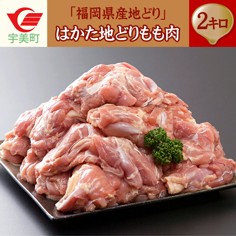 【ふるさと納税】はかた地どり もも肉 2kg 送料無料 鶏肉 YZ001