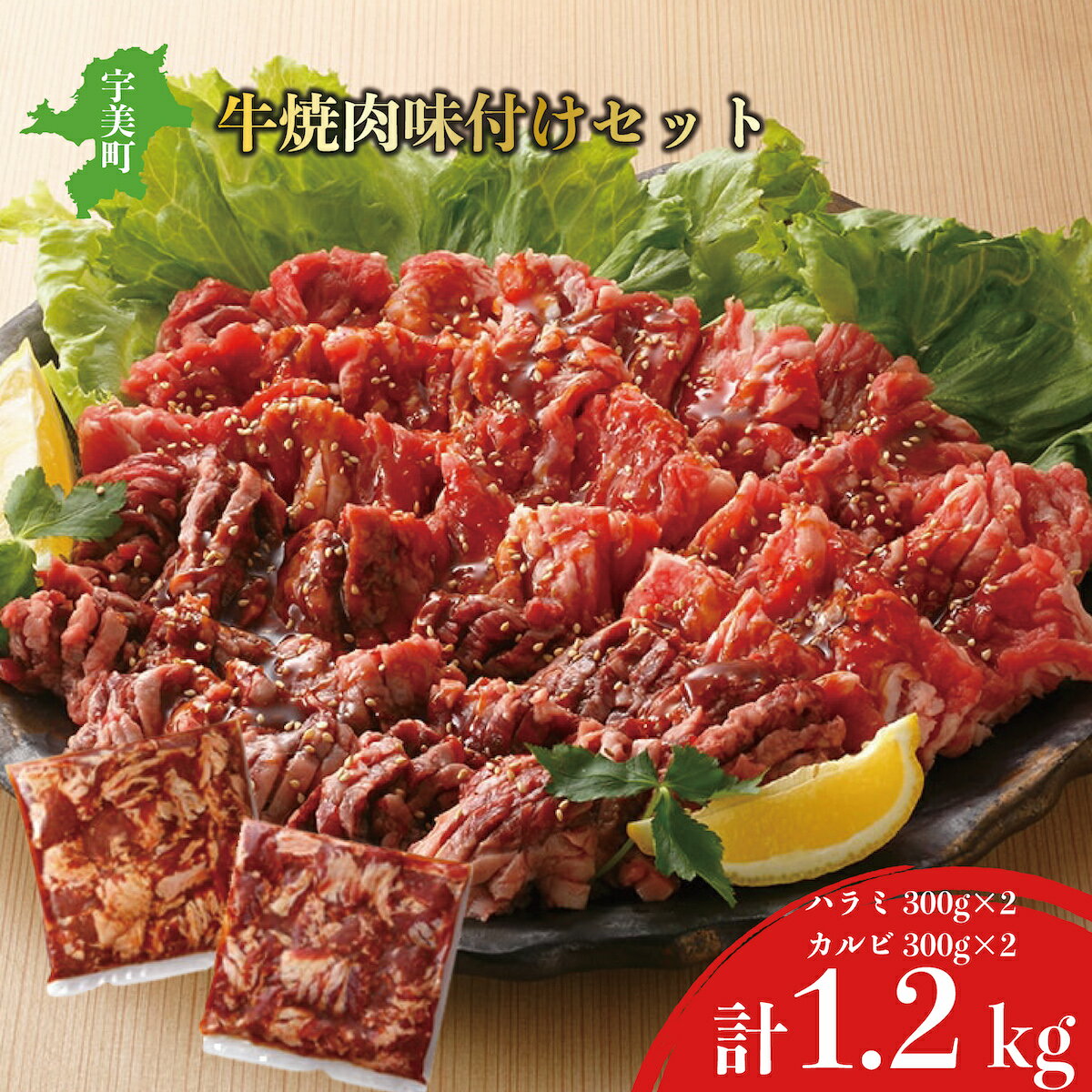 【ふるさと納税】肉 牛肉 味付き 焼肉 1.2kg ハラミ カルビ 中落 送料無料 bbq BBQ バーベキュー 小分け 詰め合わせ 1キロ以上 焼き肉 特製タレ 冷凍 赤身 お歳暮 牛 焼肉セット 焼肉用 中落カルビ ギフト EZ025