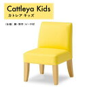 【ふるさと納税】カトレア　キッズ ／ 送料無料　椅子 チェア 子供用 シンプル オシャレ インテリア 家具 福岡県 GZ001