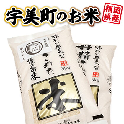 宇美町のお米 6kg 送料無料 米 白米 食品 自家精米 国産 福岡産 HZ003