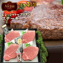 【ふるさと納税】 A5等級 福岡県産 博多和牛 ヒレ シャトーブリアンステーキ 4枚 520g 送料無料 A5ランク ステーキ 黒毛和牛 和牛 牛肉 高級 お中元 お歳暮 贈り物 プレゼント ギフト LZ001