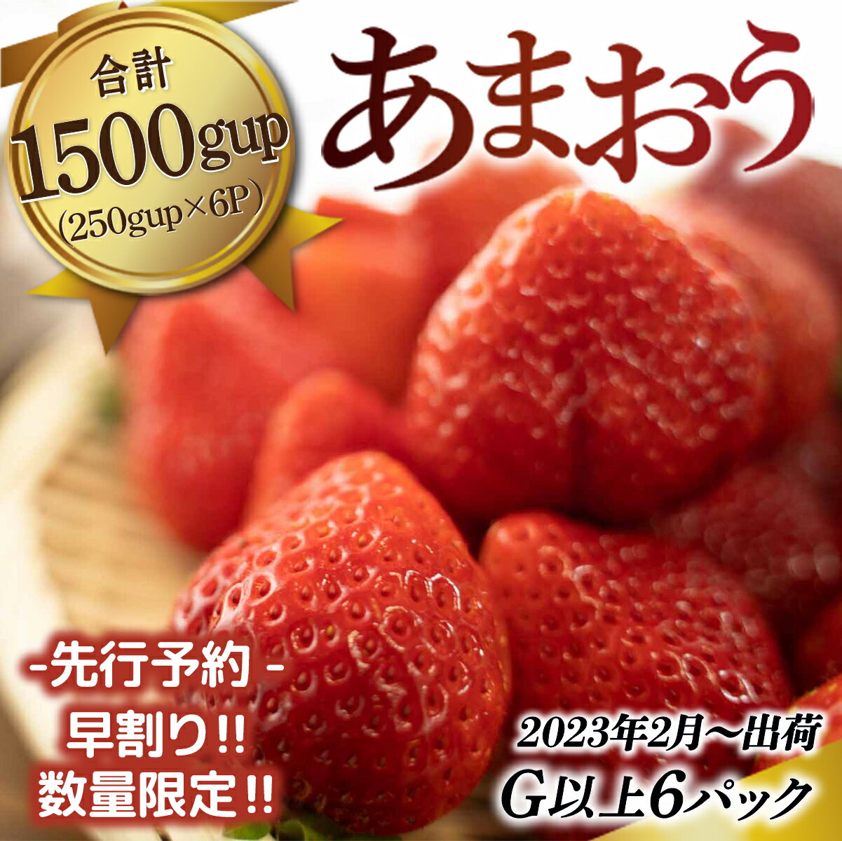 【ふるさと納税】福岡県産 あまおうG以上 1500g 6パック 先行予約 福岡産 冷蔵 送料無料 スイーツ スムージー ケーキ ギフト お祝い ショートケーキ タルト 限定 季節限定 MZ026 2023年2月～3月末発送予定