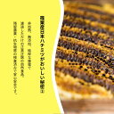 福岡県篠栗町の画像3